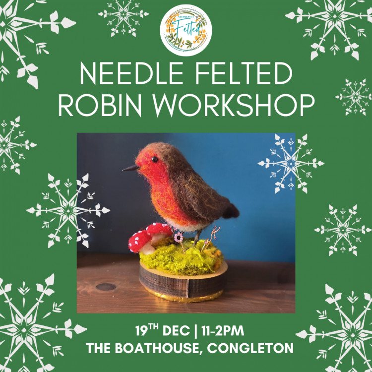 Needle Felted Robin Workshop