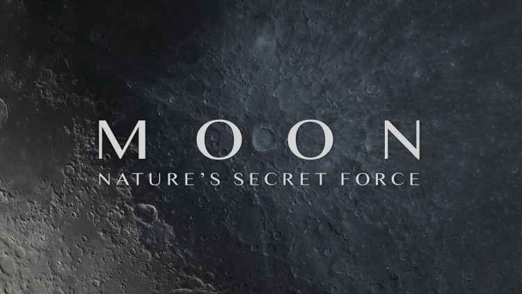 Title shot of the new wildlife series