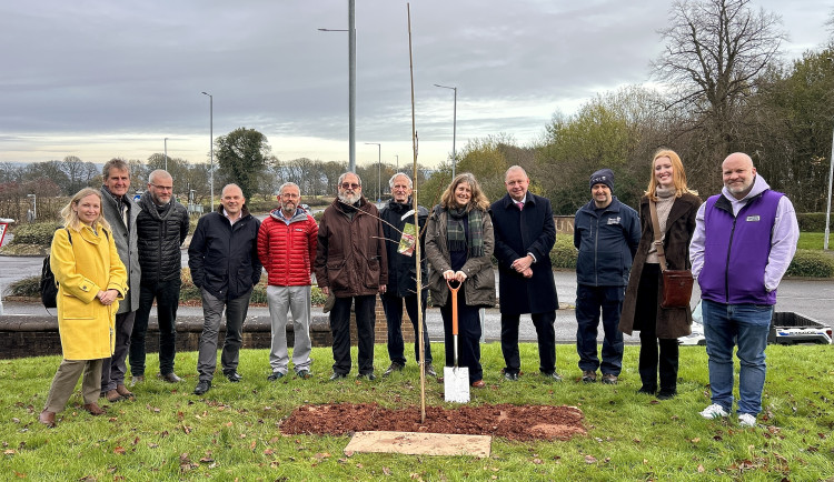 This week, three new trees were planted near the Keele University main entrance (image via Keele University)