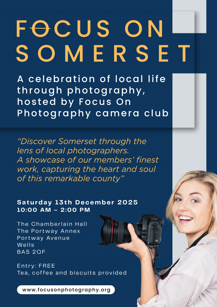 Focus on Somerset