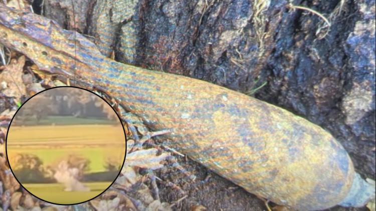 The mortar was found in a farmer's field near Walton (images via Warwickshire Police)