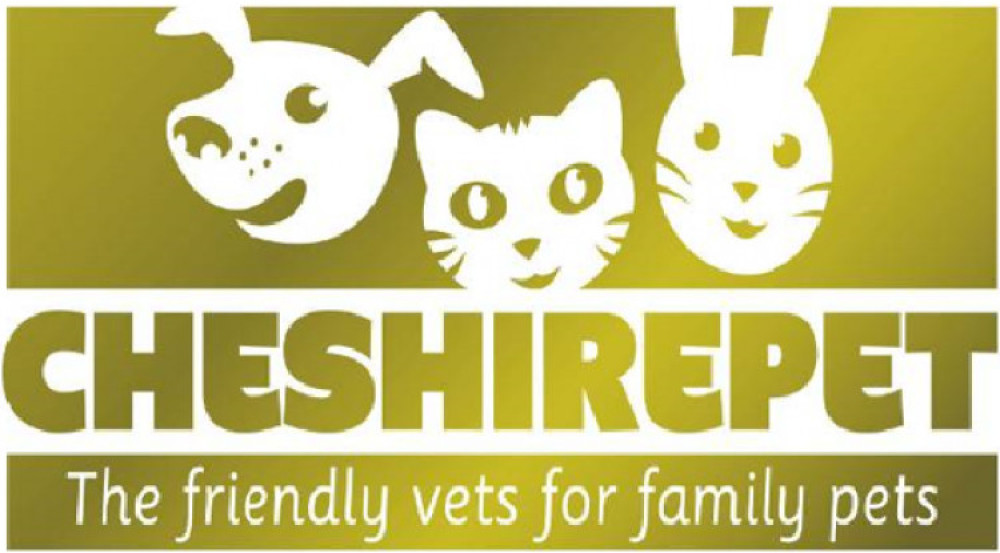 Worried about a lump or bump? Check out Cheshire Pet Sandbach's offer. (Photo: Cheshire Pet Sandbach)  