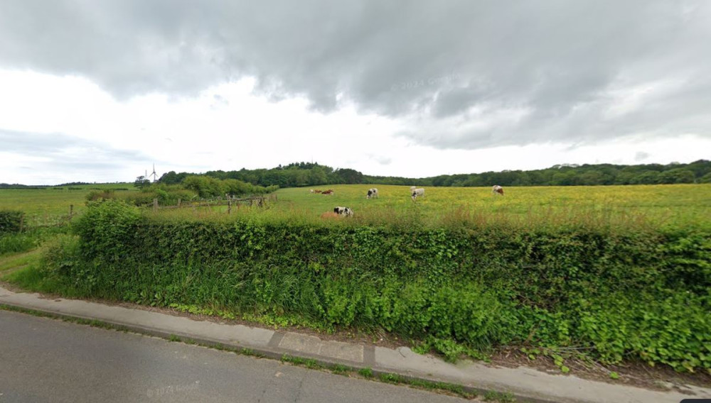 Richborough is proposing the residential scheme on land off Whitmore Road (image via Google Street View)