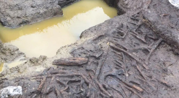 The Glastonbury Lake Village is preserved in the marsh land (Image: Somerset Drainage Board Image)