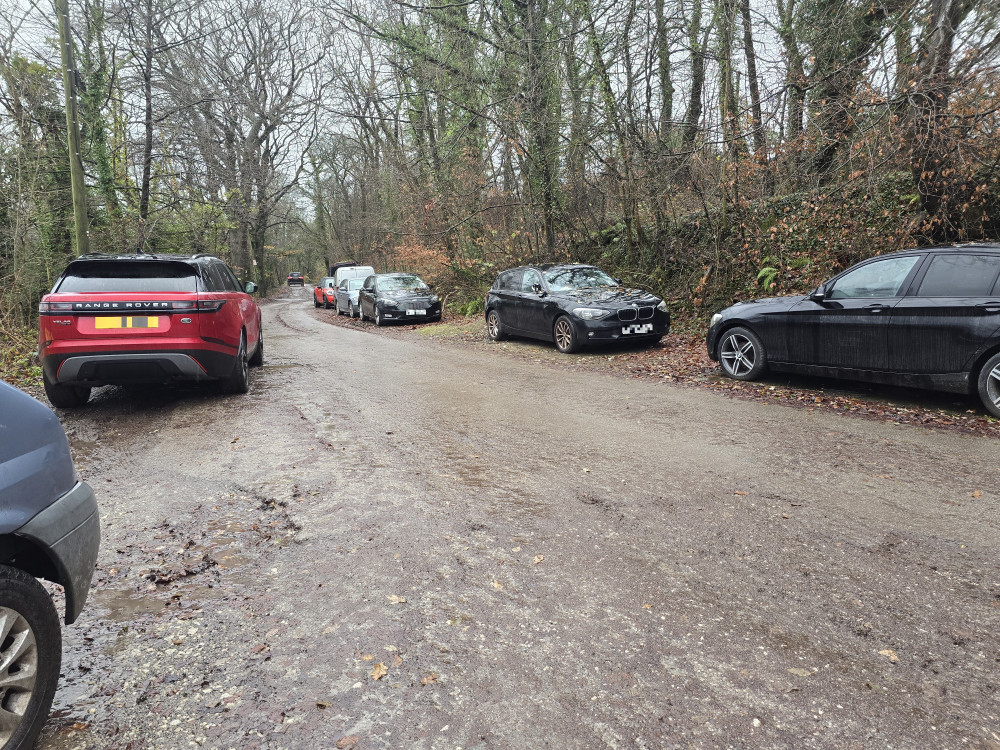Concerns are growing about ‘abandoned cars and nuisance parking’ next to the historic canal locks in Marple, in an area near Marple Aqueduct (Image - Declan Carey LDRS)