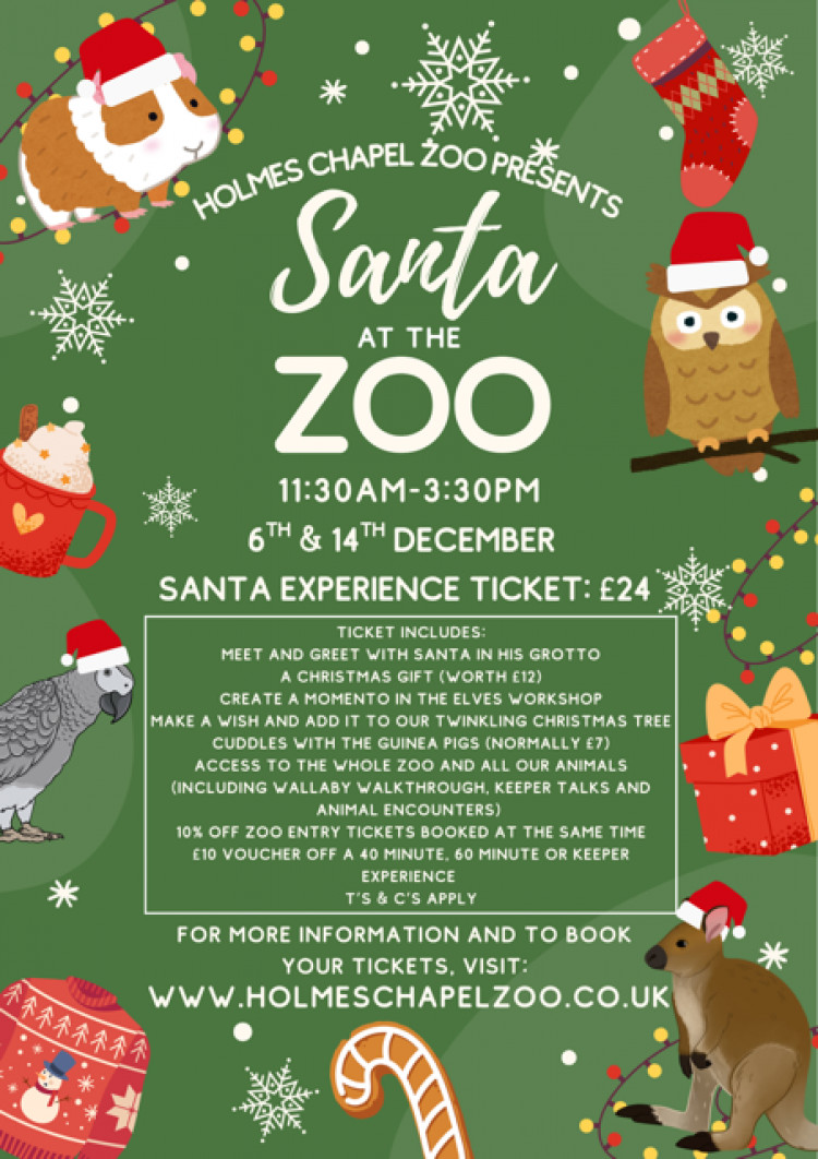 Santa at the Zoo – A Magical Christmas Day Out!