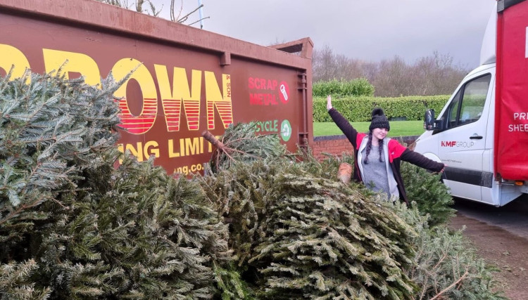 Last year, volunteers from the Blurton-based charity collected more than 1,684 trees raising £31,437 (image via Dougie Mac) 