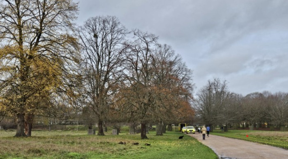 Emergency services were called to the scene at Bushy Park this morning