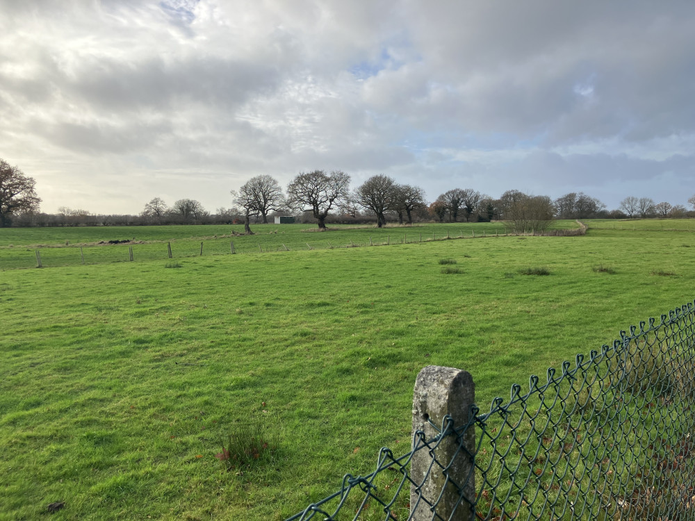 Land at Jacksons Lane in Hazel Grove, earmarked by Bellway Homes for new homes (Image - Declan Carey LDRS)
