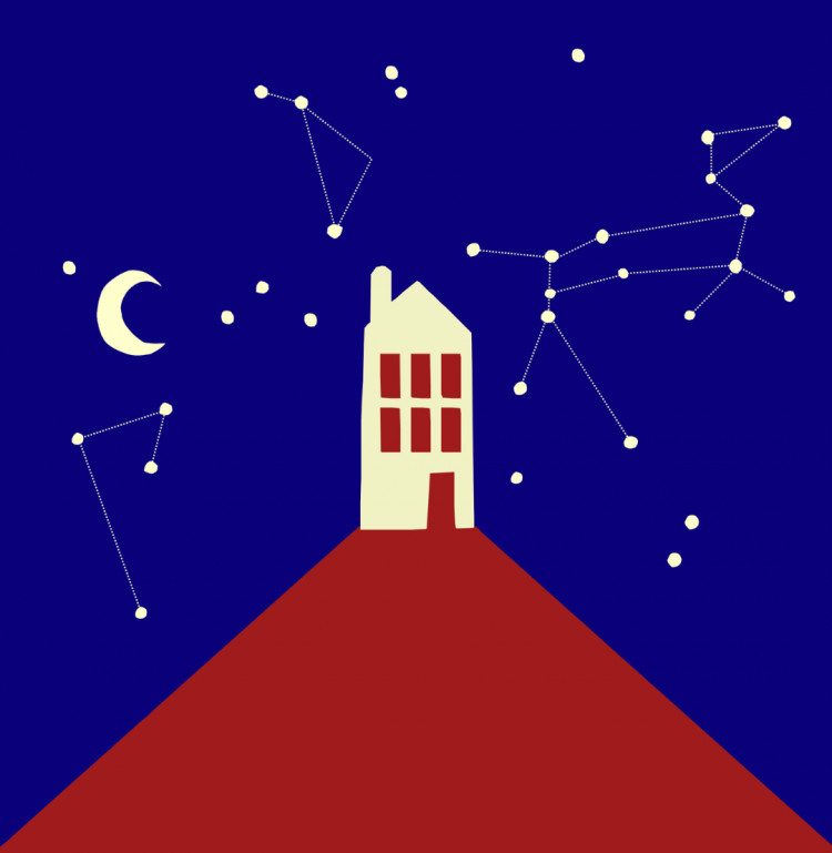 The Curious Incident of the Dog in the Night-Time