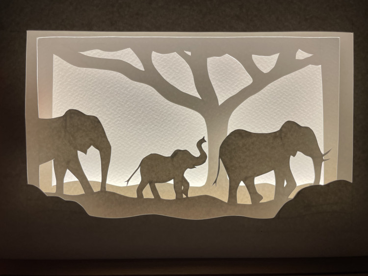 Make A Papercut Lightbox