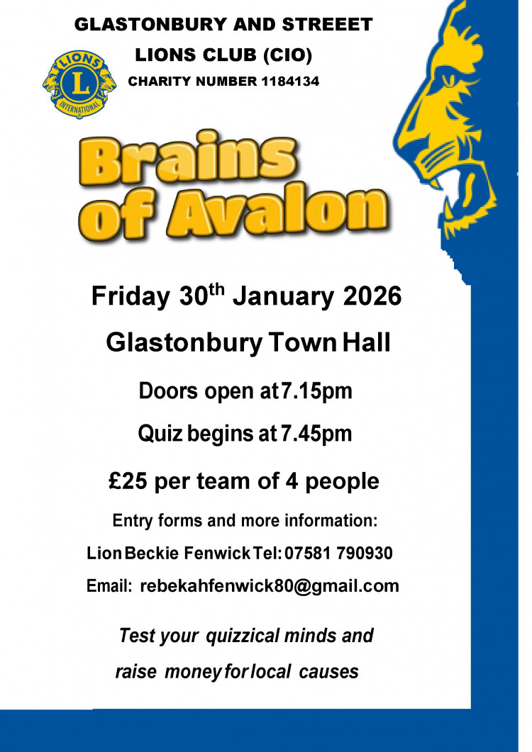 Brains of Avalon Quiz