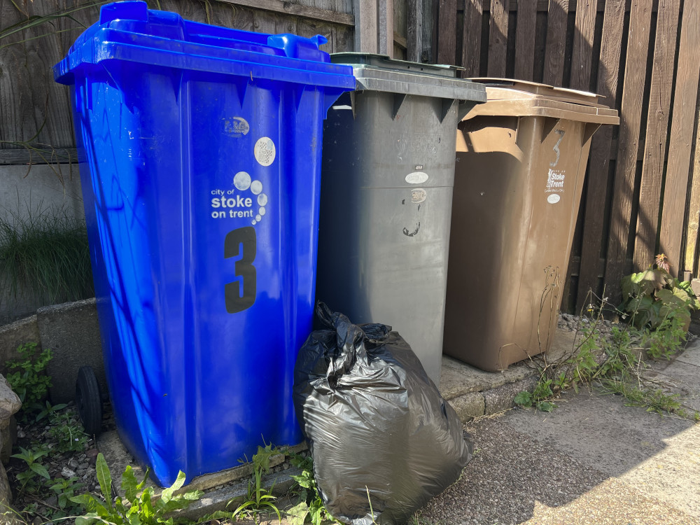 Households will be allowed to present any excess waste or recycling as bagged ‘side-waste’ when usual collections are resumed (image via Nub News)