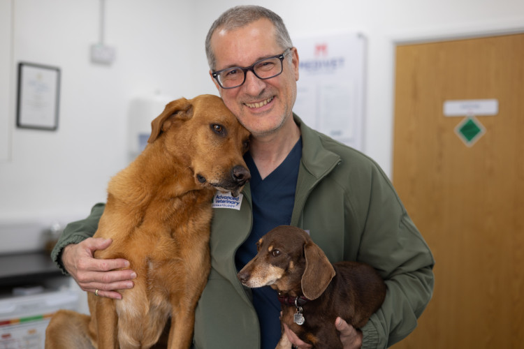 Advanced Veterinary Dermatology has opened at Medivet on Station Road (image supplied)