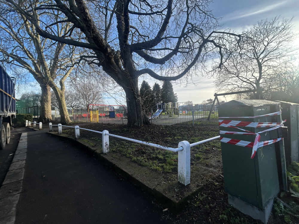 The tree branches that fell near Teddington School have now been removed (Credit: Tilly O’Brien)
