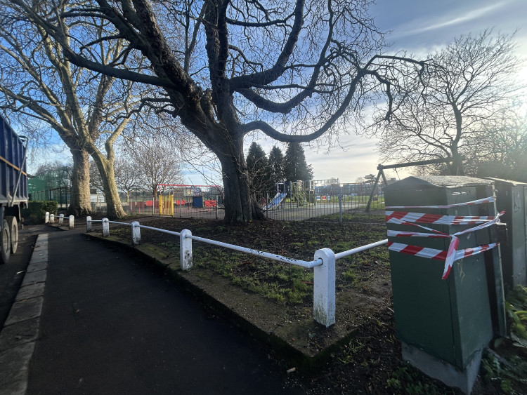The tree branches that fell near Teddington School have now been removed (Credit: Tilly O’Brien)