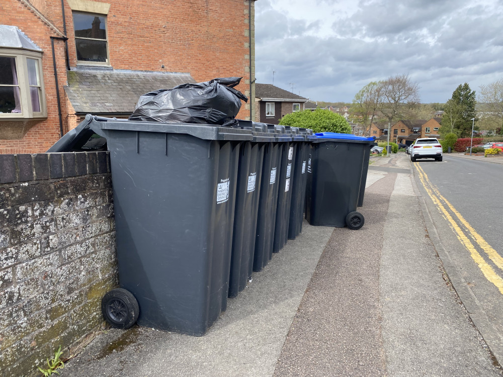 Bin collections in Warwick will change this Christmas (image by Nub News)