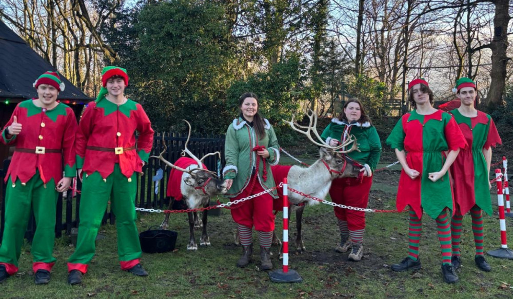 Beech Hall School celebrated the end of term with some festive fun (Credit: Supplied)