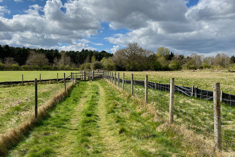 K29 has been diverted since 2023 (image by Robin Stott)