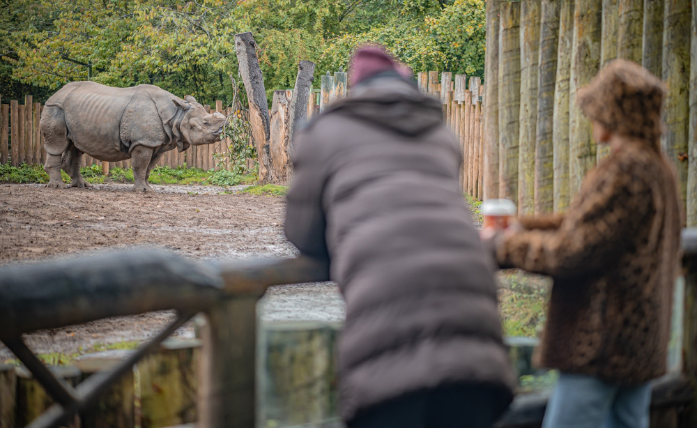 Tickets priced at £1 will be available to people receiving Universal Credit (Image via: Chester Zoo)