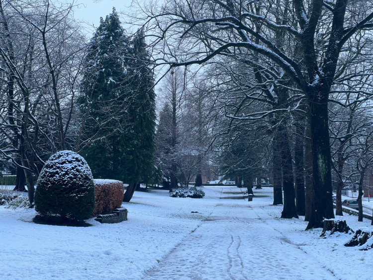 Looking for something to do between Christmas and New Year's? Why not head out on a walk and take in some countryside air (Credit: Nub News)