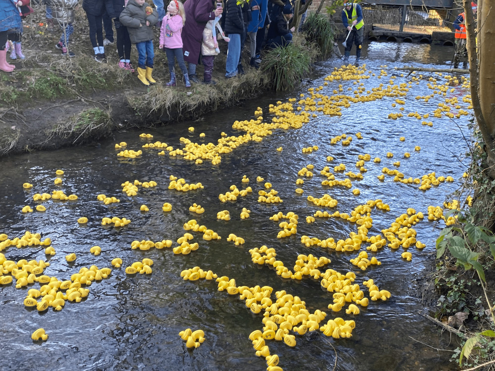 Kenilworth's Boxing Day Duck Race returned for 2025 (images by Nub News)