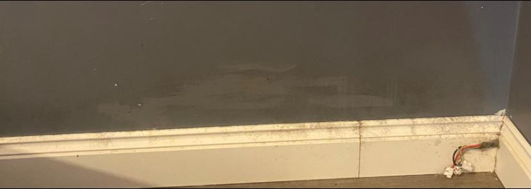 Amanda Keltz has pictured mouldy skirting boards and damp walls in her flat. 