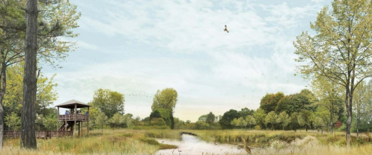 Proposed wetlands at Brandon Wood (image supplied)