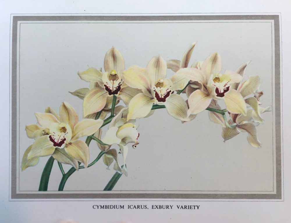 The Eight Wonder of the World