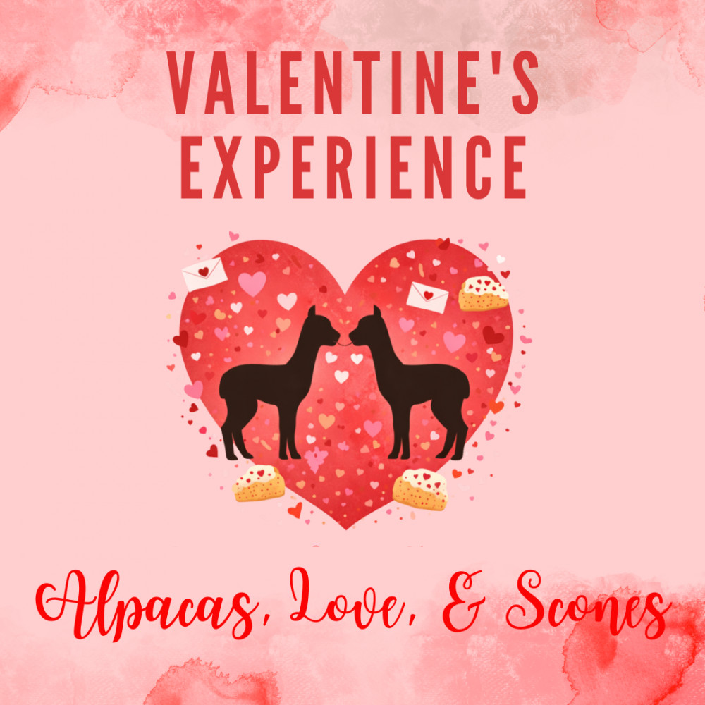 Valentine's Couples Experience 