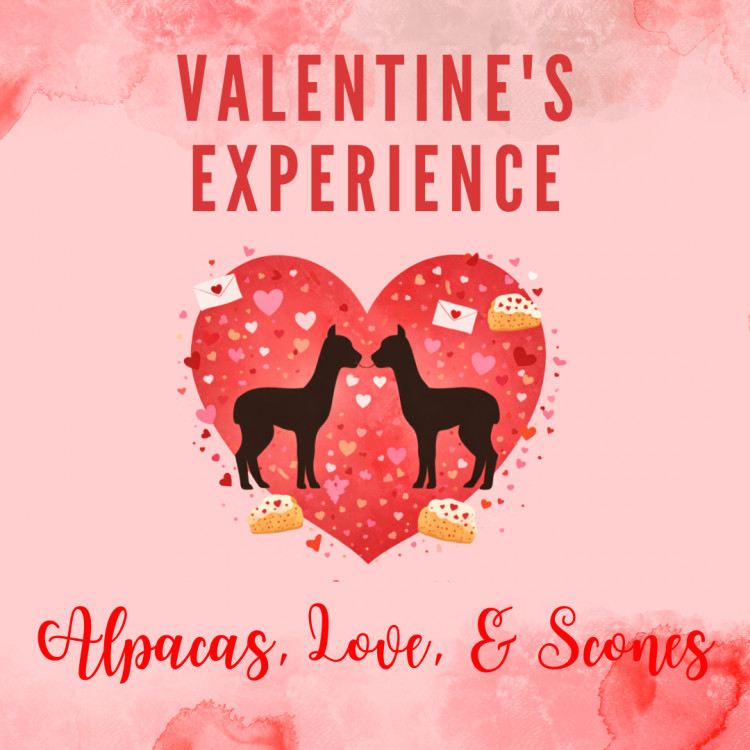 Valentine's Couples Experience 