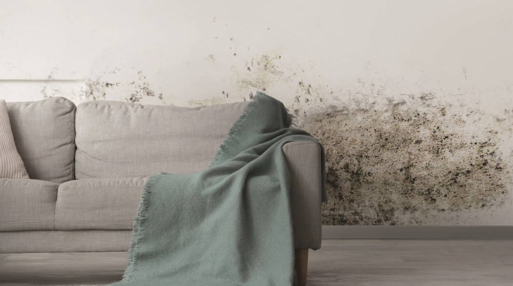 Tackling damp and mould is a key part of the council’s Tenants’ Charter.