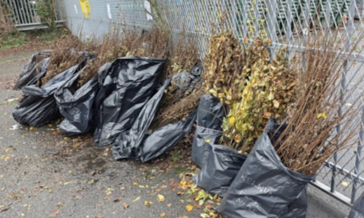 The response smashed last year’s total by 25,000 trees