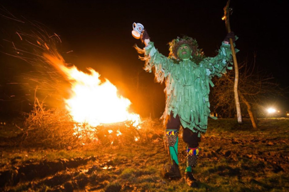 Glastonbury's Middlewick hosts a Wassail on Sunday, 11 January 2026, inviting families to a traditional ceremony of blessing apple trees