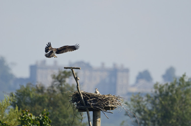 Leicestershire and Rutland Wildlife Trust will be celebrating three special anniversaries in 2026 (Photo: LRWT)