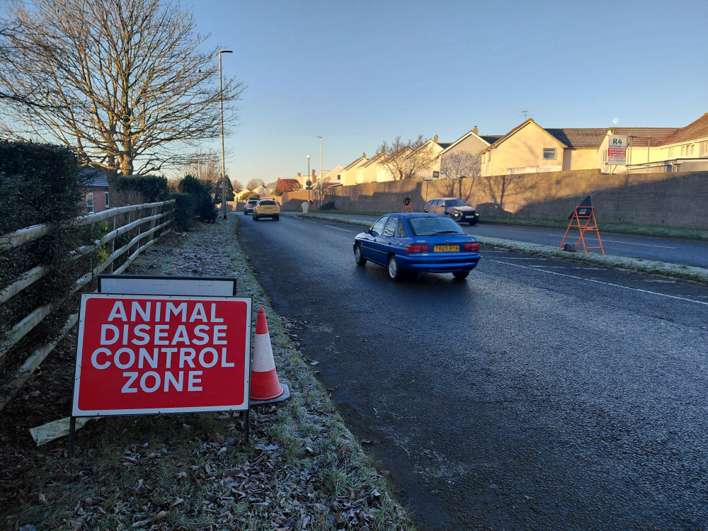 A bird flu surveillance zone is active in Somerset Levels due to H5N1 detection.