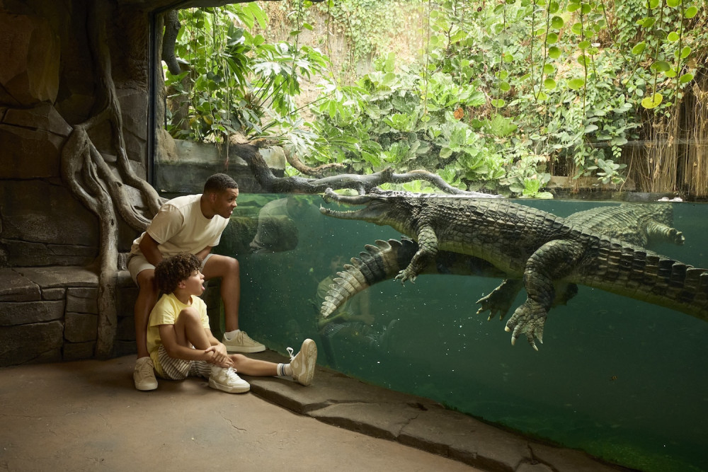 Chester Zoo spans 130 acres and is home to more than 30,000 animals (Image via: Chester Zoo)