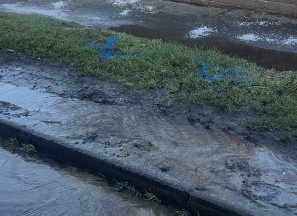 Bubbles and strife on Caldwell Road. 