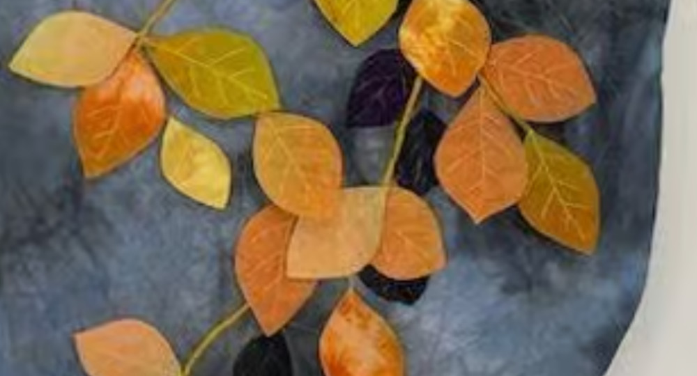 Internationally-acclaimed prize-winning quilt maker and textile artist Janet Cook.