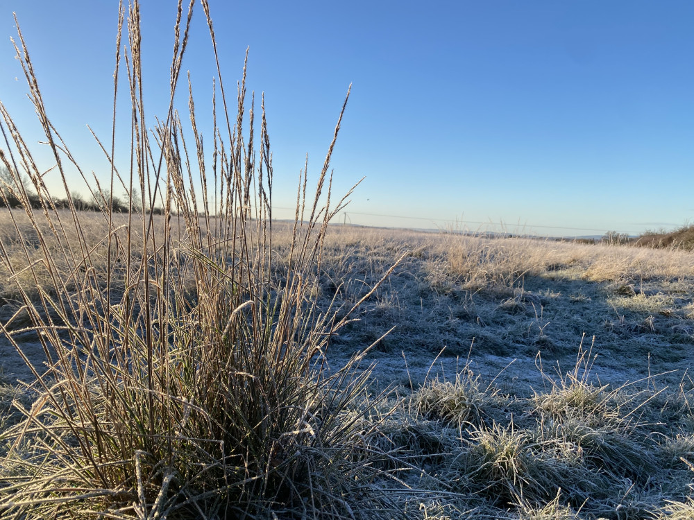 Snow could be coming to Leamington Spa (image by Nub News)