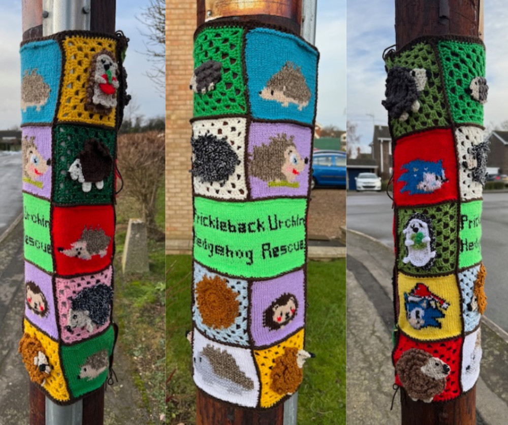 A special yarnbomb has gone up on Tyne Road in Oakham to mark Oakham Book Swap fundraising for a local hedgehog rescue (Photo: Oakham Book Swap)