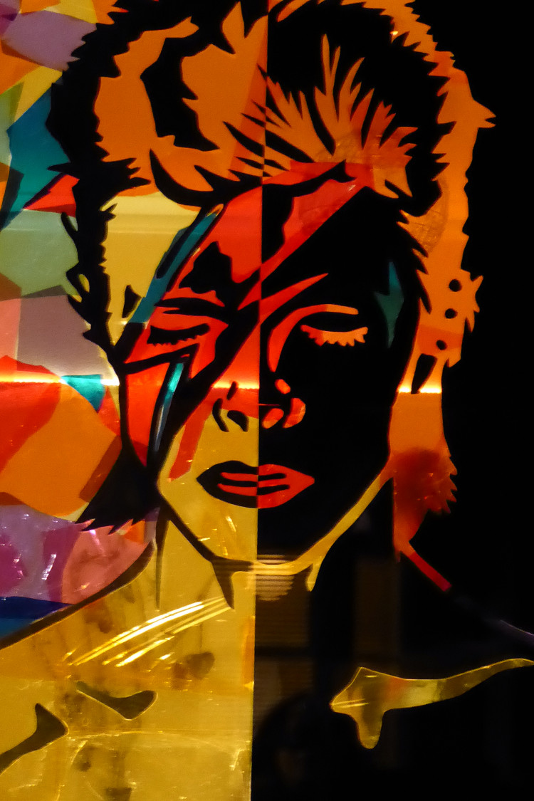 David Bowie Window Wanderland