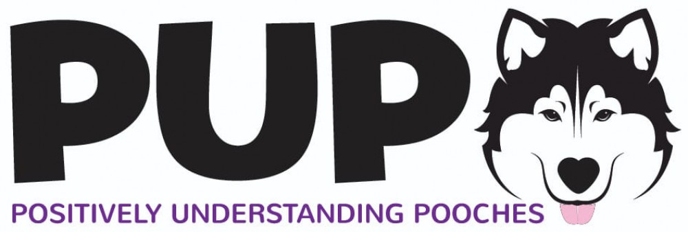 Using science based positive behaviour modification to help owners understand their dogs.