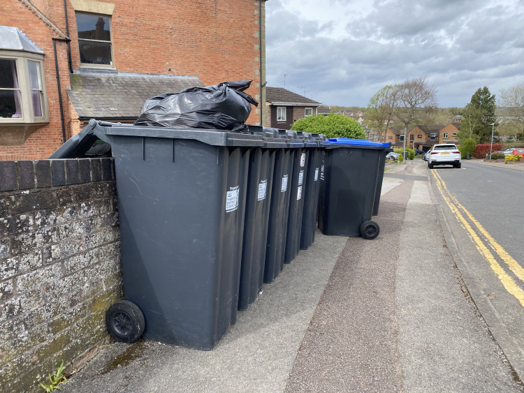 Bin collections in Warwick will return to normal (image by Nub News)
