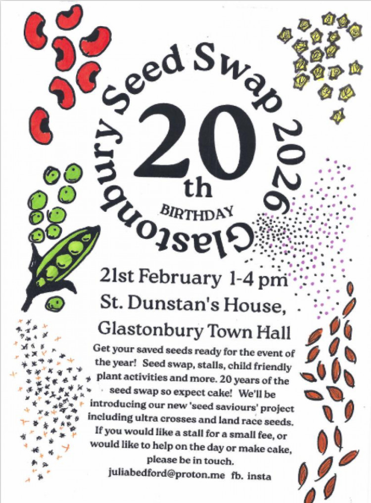 Glastonbury Seedy Saturday