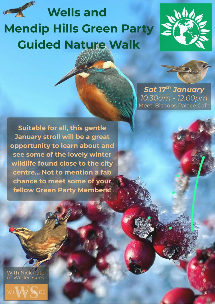 Guided Nature Walk