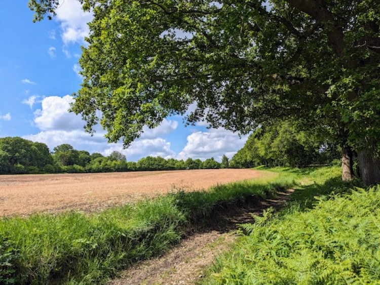 St Paul's Walden footpath, credit Hertfordshire Walker