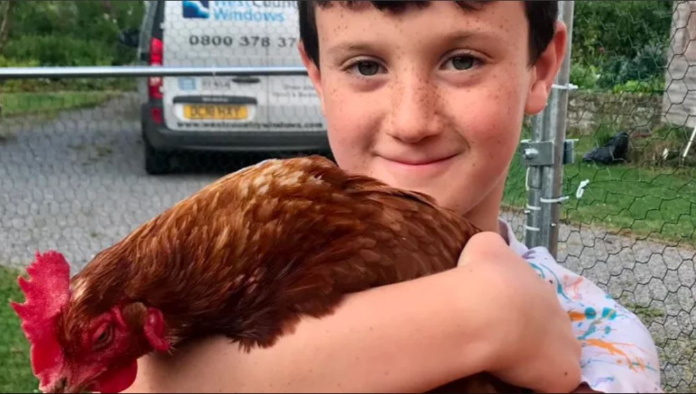 A Butleigh boy's jam stall was cleared out overnight, prompting a GoFundMe for restocking and security. (Photo: GoFundMe) 