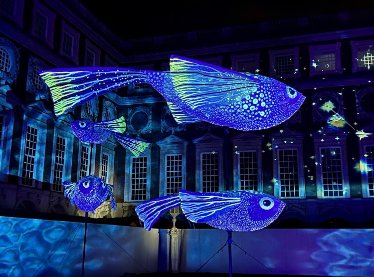 Flying Fish by Wild Rumpus will feature at Light up Middleport in January (image via Hannah Hiles)