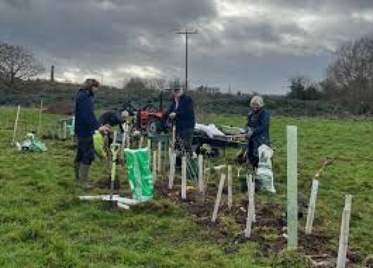 Glastonbury Town Council withdrew its bid to protect Bridie's Farm after Somerset Council labeled it a hindrance. 